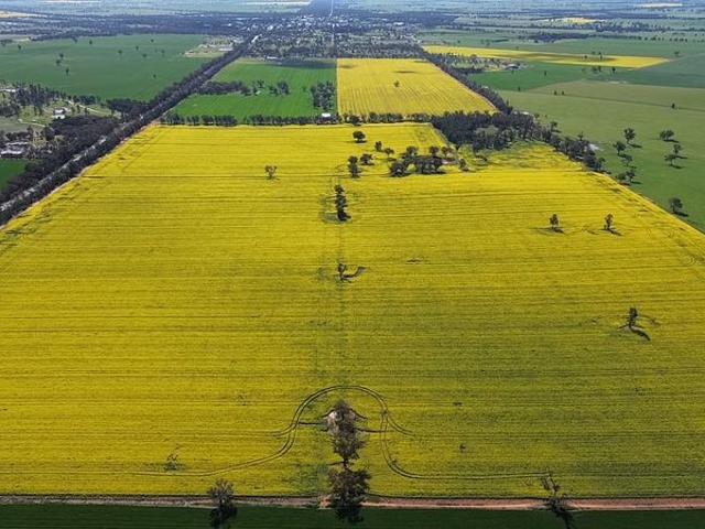 Property for sale in Coolamon, New South Wales