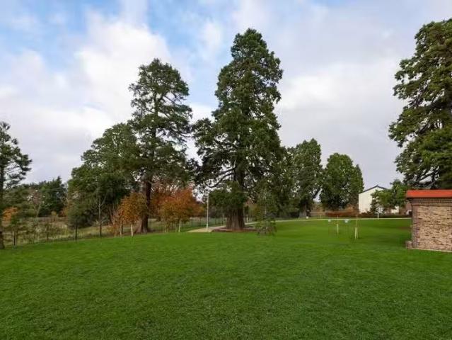 Apartment to rent
