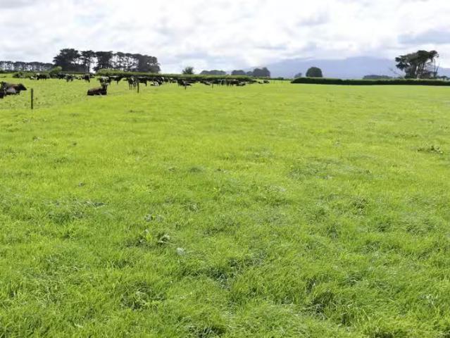 House for rent in Taranaki