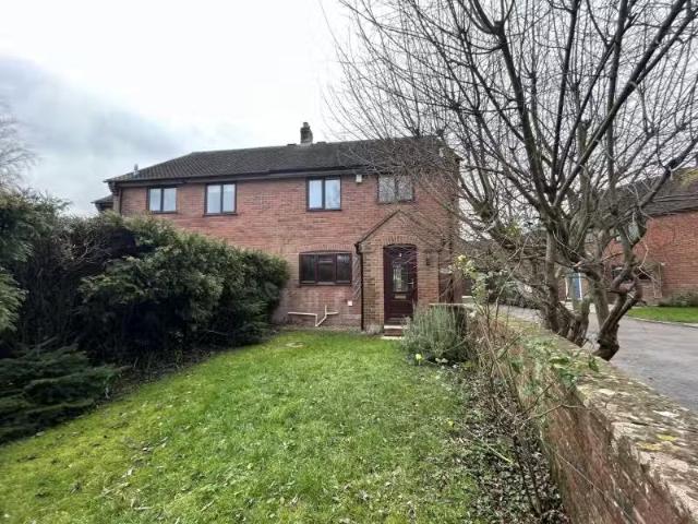 House for rent