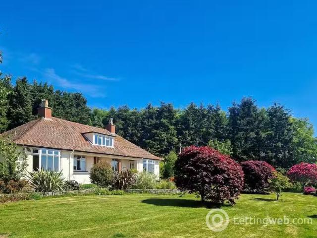 House for rent