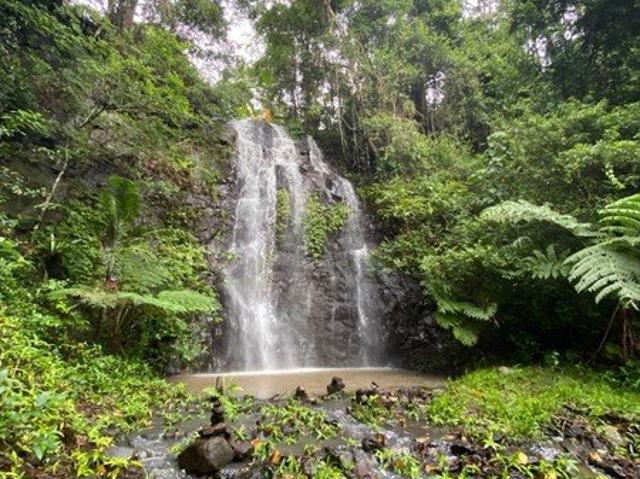 Acreage for sale in Nimbin, New South Wales