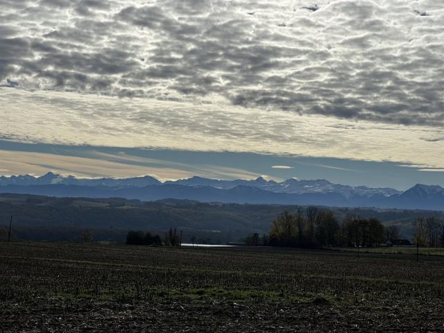 Maison vente à Saint-Gaudens, L'isle-en-dodon