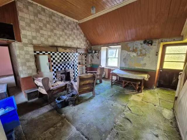 House to rent