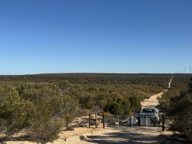 Land for sale in Minbrie, South Australia
