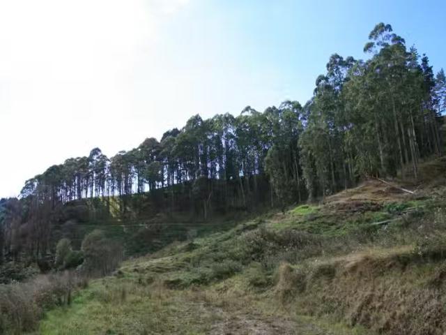 House for rent in Taranaki