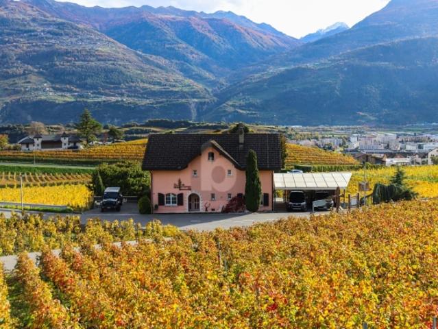 Einfamilienhaus kaufen in Conthey, Wallis