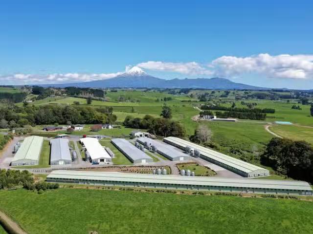 House for rent in Taranaki