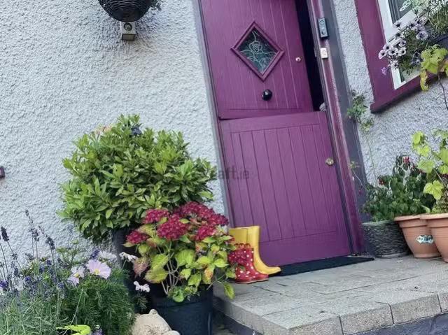 House to rent