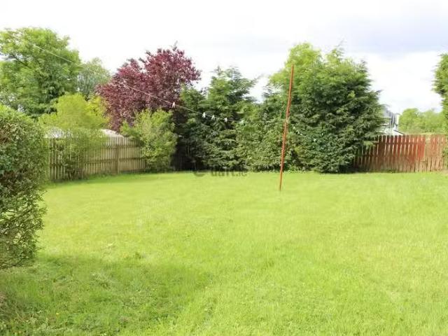 House to rent