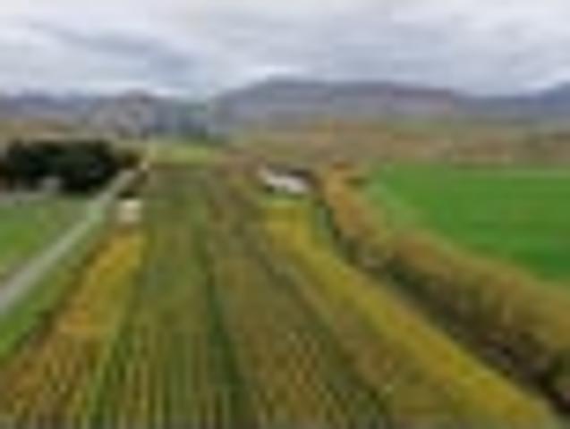Land for sale in Kurow