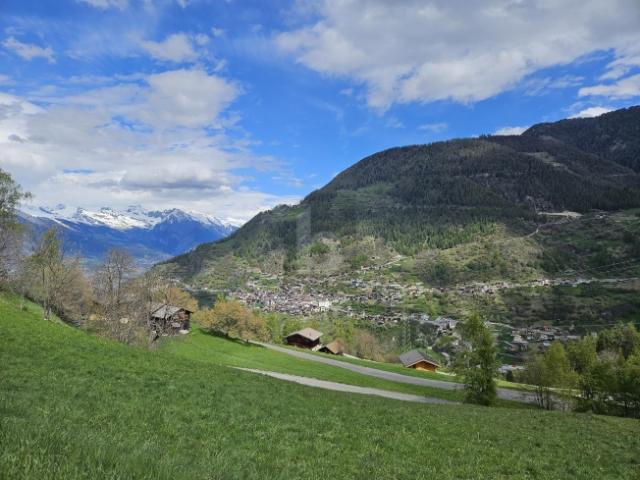 Haus kaufen in Levron, Wallis