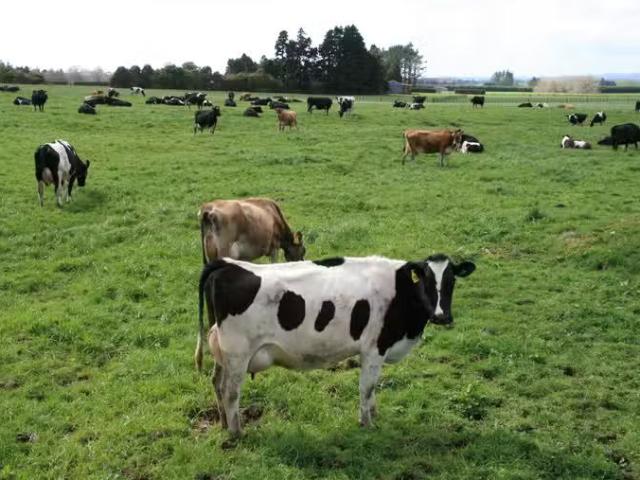 House for rent in Taranaki