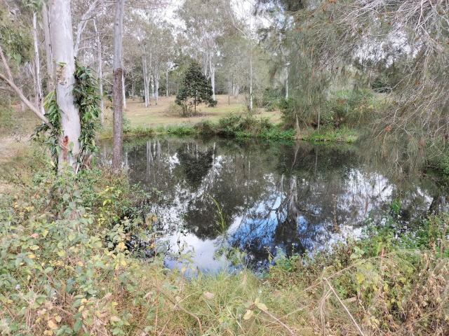 Cottage for sale in Toombul, Queensland