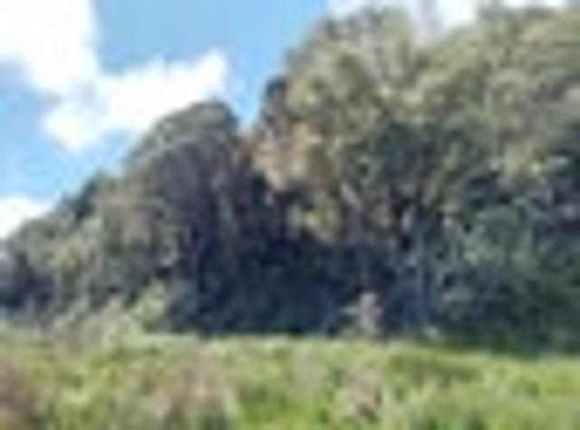 Land for sale in Buller District, West Coast