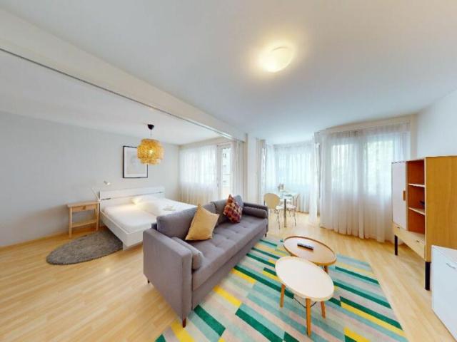 Etagenwohnung mieten in Basel