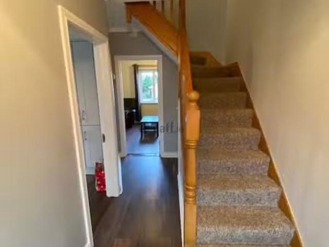 House to rent