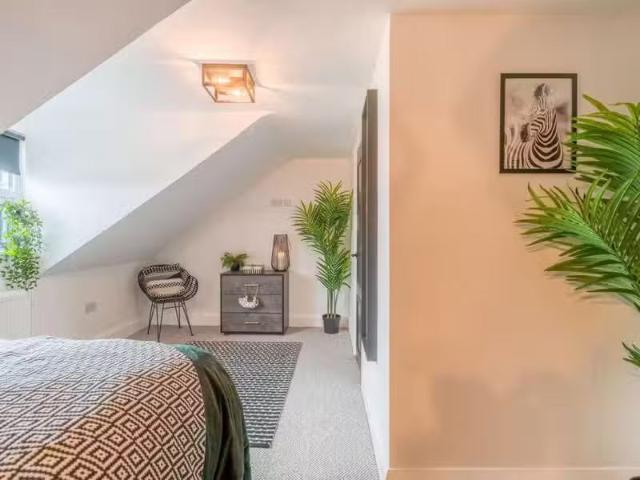 House for rent