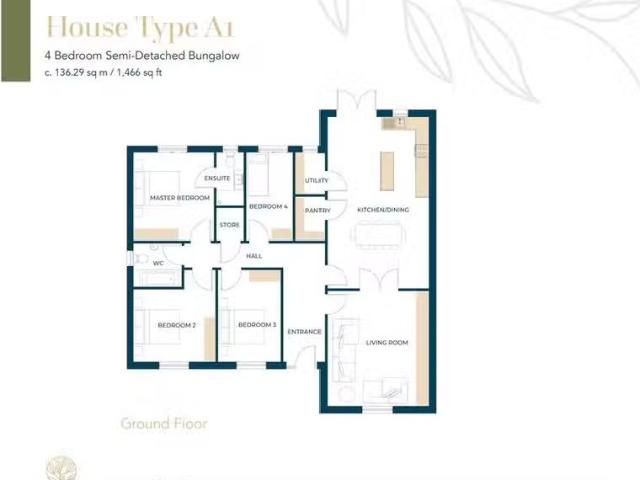 House to rent