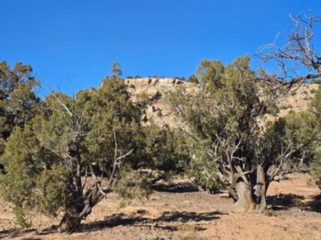 Land for sale in Duchesne, Utah