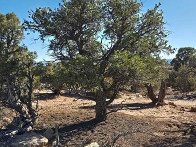 Land for sale in Duchesne, Utah