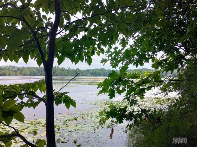 Land for sale in Michigan