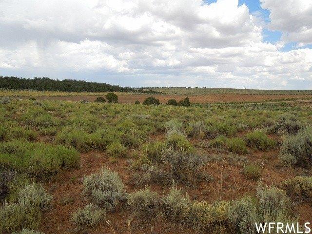 Land for sale in Monticello, Utah