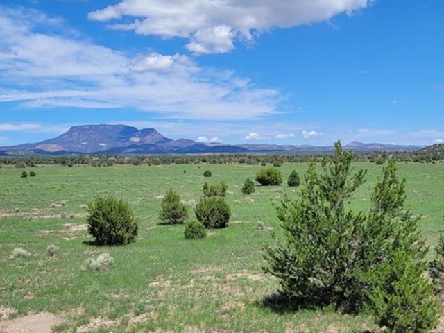 Land for sale in Catron, New Mexico