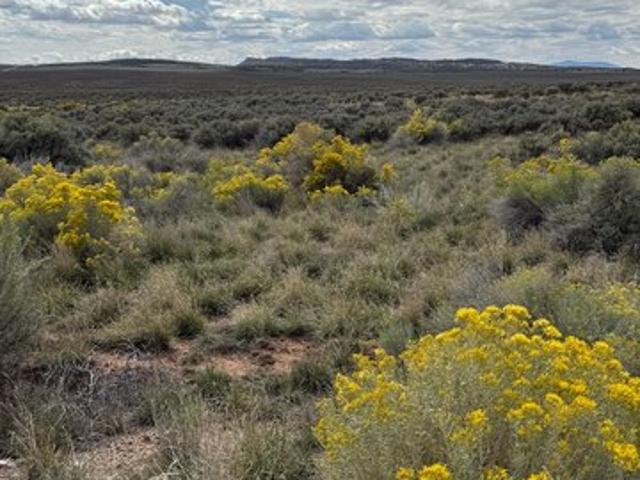 Land for sale in Utah