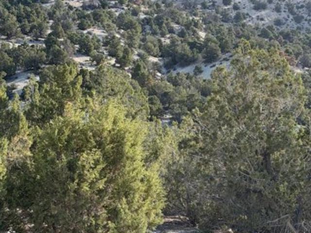 Land for sale in Salina, Utah