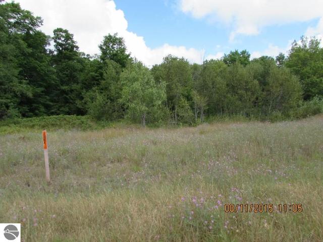 Land for sale in Michigan