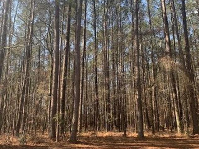 Land for sale in Pachuta, Mississippi