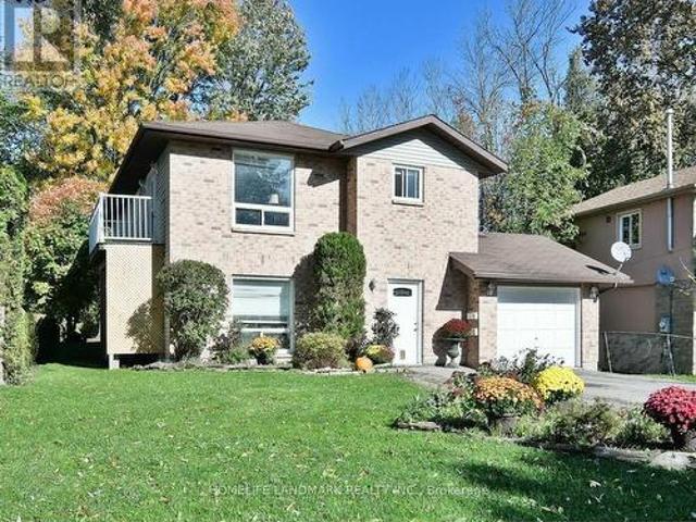 House for rent in York, Ontario