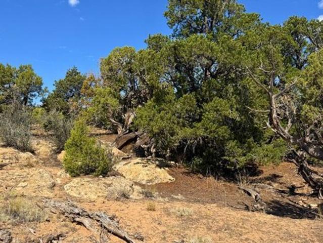 Land for sale in Duchesne, Utah