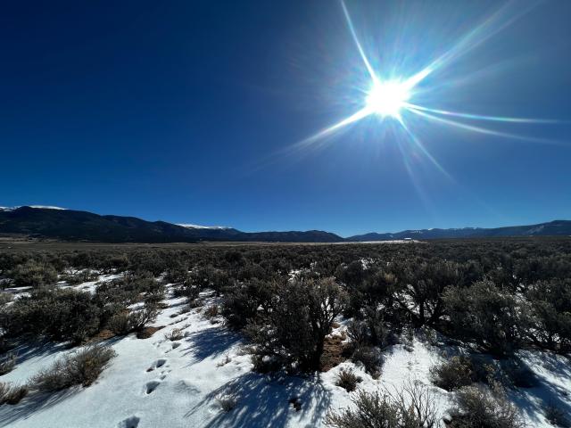 Land for sale in New Mexico