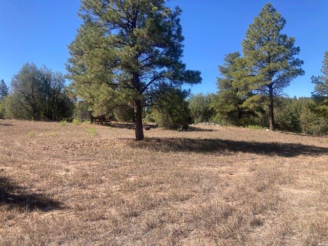 Land for sale in Tierra Amarilla, Rio Arriba County