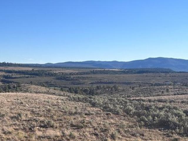 Land for sale in Los Ojos, New Mexico