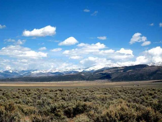 Land for sale in New Mexico