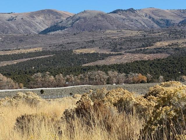 Land for sale in Mount Pleasant, Utah