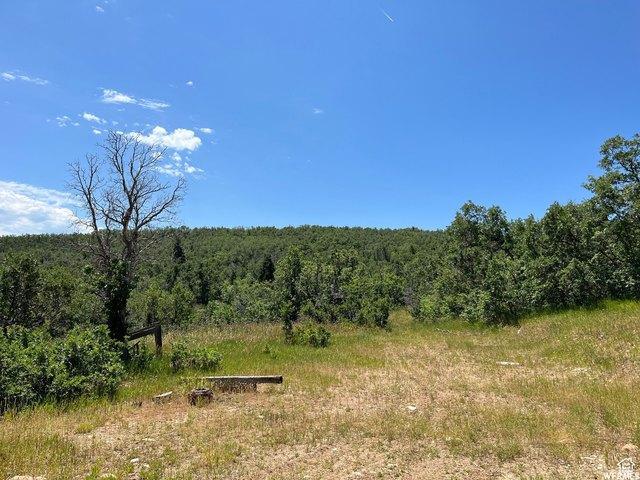 Land for sale in Springville, Utah