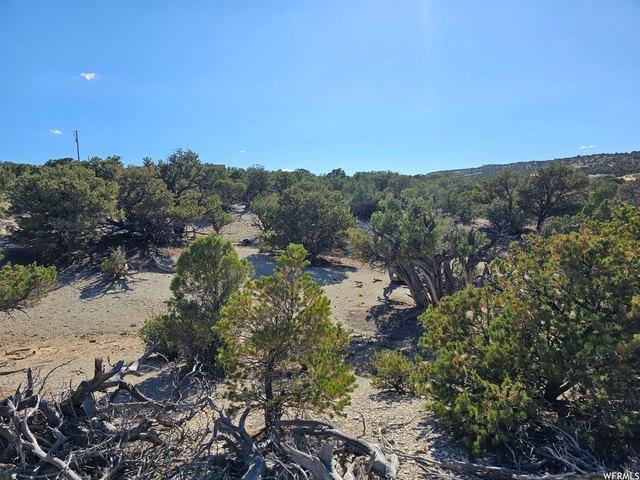 Land for sale in Duchesne, Utah