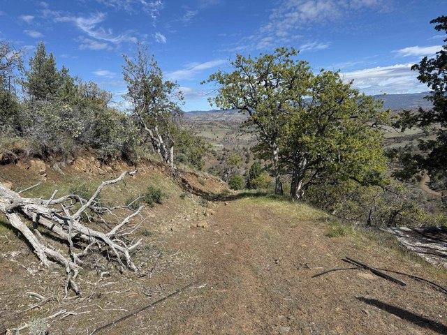 Land for sale in Montague, California