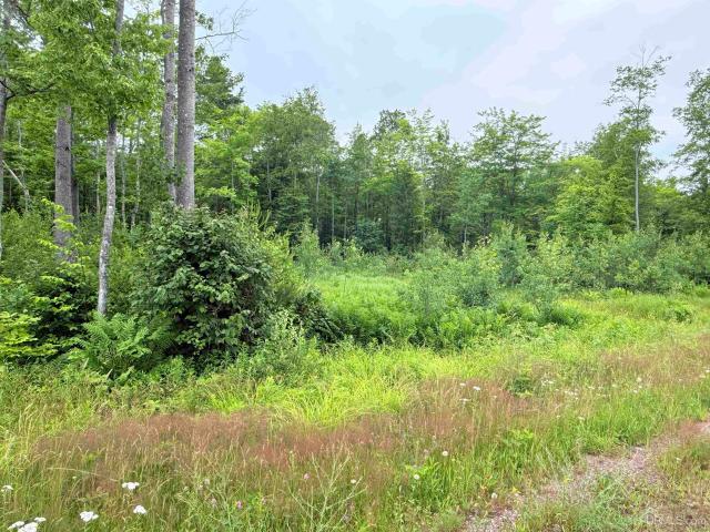 Land for sale in Houghton, Michigan