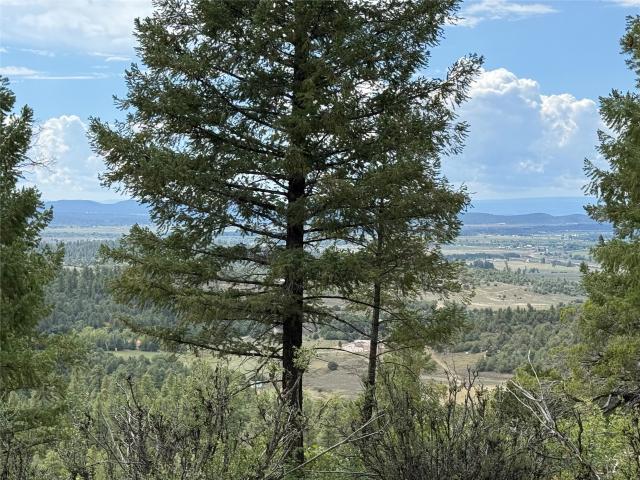Land for sale in Chama, New Mexico