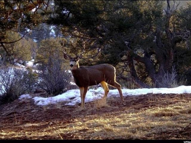 Land for sale in Duchesne, Utah
