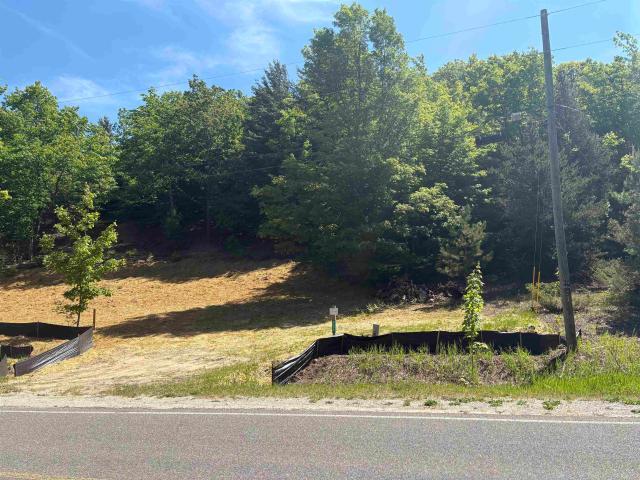 Land for sale in Michigan