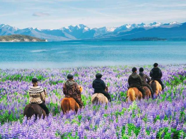 Apartment for sale in Lake Tekapo, Canterbury