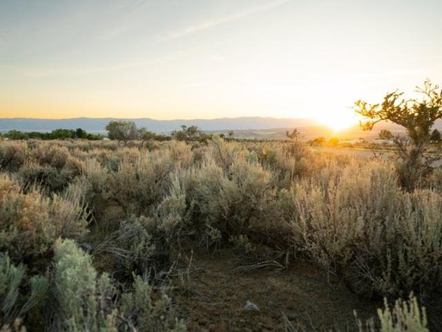 Land for sale in Mount Pleasant, Utah