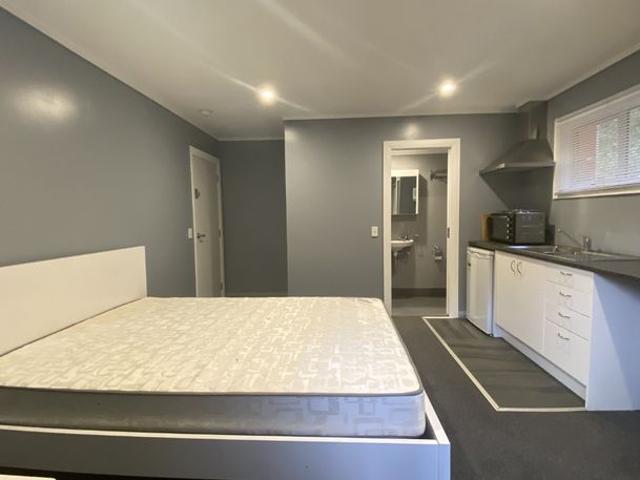 Apartment for rent in Otakou