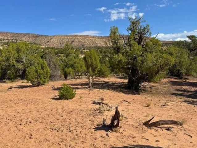 Land for sale in Duchesne, Utah
